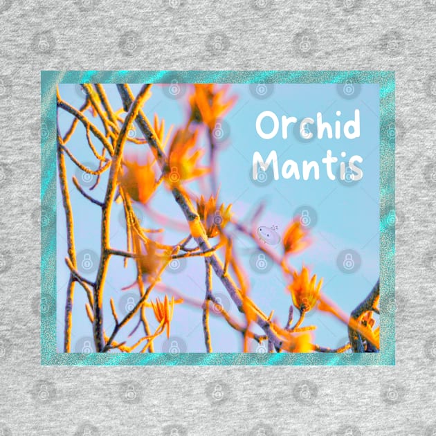 ORCHID MANTIS by Noah Monroe
